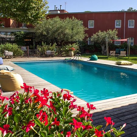 Best Western Plus Le Lavarin Avinyon Dış mekan fotoğraf